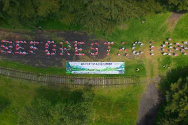 Industria de vehículos pesados refuerza acciones ambientales con jornada de reforestación