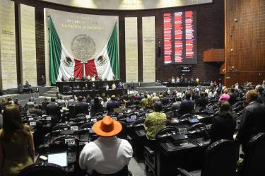 El COLEFOM indica que “las modificaciones constitucionales a los artículos 82, 116, y 122 impactarían negativamente “el núcleo esencial de nuestro derecho a la participación”.