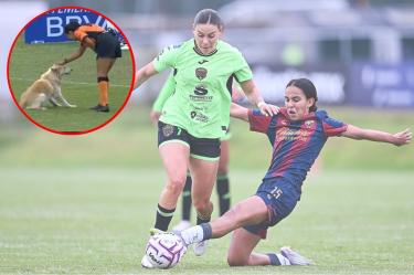 Durante el partido entre Atlante y FC Juárez, un 'lomito' entró a la cancha en pleno partido.
