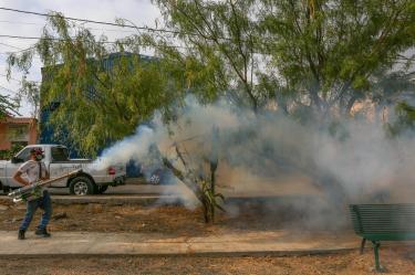 Zacatecas, Tlaxcala y la Ciudad de México son las entidades que no presentaron casos de dengue.