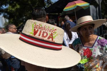 Este miércoles hay un pago adicional que destaca las y los sembradores del programa Sembrando Vida.