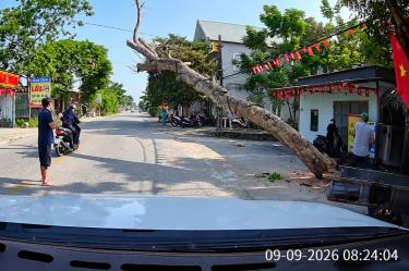 Árbol caído ocupa parte de una carretera en Vietnam, frente a viviendas y comercios, mientras motociclistas observan el lugar.