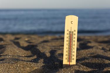 Arrecifes de coral y comunidades costeras enfrentan los efectos del calentamiento oceánico extremo.
