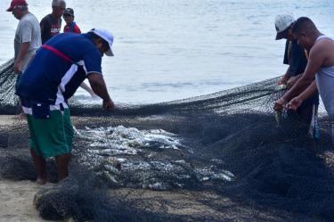 pescadores