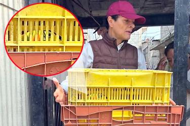 Integrante de la DTUMA carga jaula con tucán rescatado en Ixtapaluca.