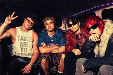 5 Seconds of Summer tuvo que cancelar el concierto que darían anoche