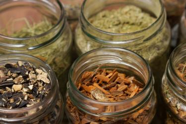 Plantas medicinales para la circulación: ¿cuáles son y son seguras?