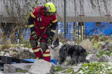 Perros rescatistas, Border Collie, Cruz Roja, emergencia