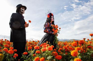 Jalisco se prepara para celebrar el Día de Muertos con la segunda edición del Festival de las Almas.