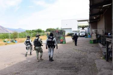 Ataque armado en empacadora de aguacate en Michoacán deja tres muertos