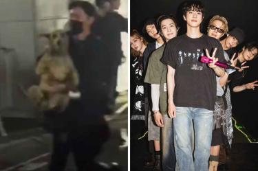 Perrito aparece en concierto de BTS en Perú