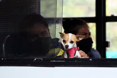 Lo que parecía una jornada habitual de labores domésticas terminó en un insólito caso de presunto secuestro de una mascota.