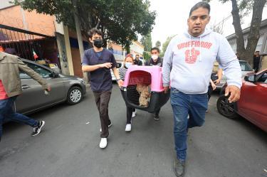 Perros