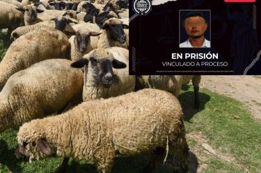 detenido
