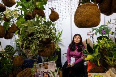 Ejercer la economía social y solidaria a través de sociedades cooperativas representa un desafío complejo en la Ciudad de México.