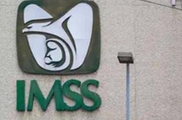 Logo IMSS