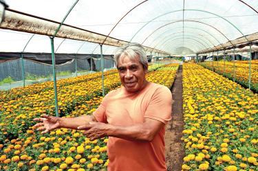 El productor Jorge Valencia llamó a comprar flores naturales producidas en las chinampas.