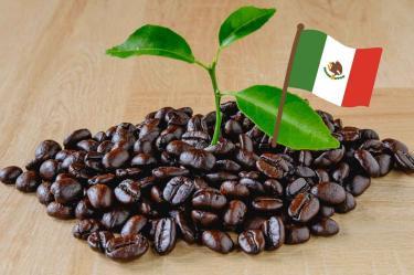 Tipos de café en México