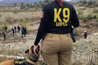 Binomios caninos y agentes ministeriales peinan el cauce del río y del arroyo El Pípila para ubicar al menos a cuatro personas que continúan desaparecidas.