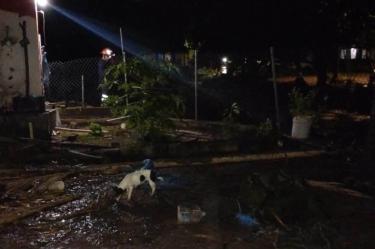daños en Nayarit
