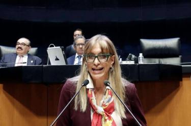 La verdeecologista dijo que la plataforma puede convertirse en un mecanismo que ayude a cobrar un predio más cercano al valor comercial de los inmuebles.
