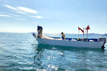 La pesca con redes de enmalle en el hábitat de la vaquita marina nunca se detuvo