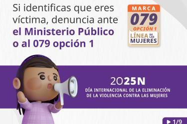La Secretaría de las Mujeres demandó a la Cámara de Diputados se legisle para que Fiscalías Especializadas de las Mujeres tengan un carácter constitucional.
