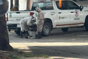 cerco de seguridad ante ataque de abejas en coatzacoalcos