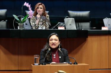 La senadora de Morena Karina Ruiz no ha asistido a ninguna de las sesiones del actual periodo ordinario