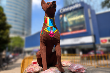 Así los xoloitzcuintles en CDMX