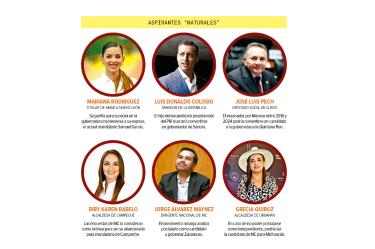 Los perfiles sondeados por MC se basan en sondeos internos y apoyos en cada estado