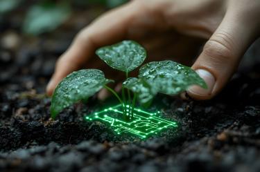 La diversidad del campo mexicano necesita soluciones adaptadas a distintas realidades.