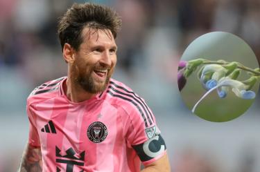 La flor de Messi existe: hallan una nueva especie en los Andes y la llaman Salvia messii