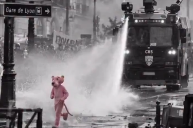 La Pantera Rosa se ha hecho famosa en redes sociales por las protestas en Francia.