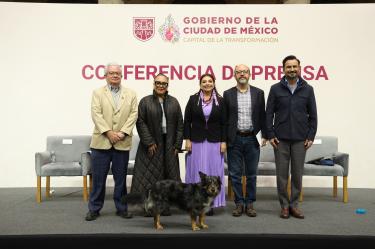 En la propuesta se establece implementar un Gabinete de Acompañamiento Social ante desalojos, para proteger a sectores vulnerables