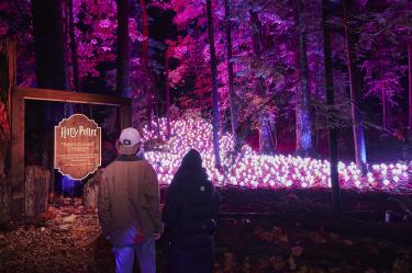 Harry Potter: la experiencia del Bosque prohibido.