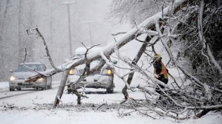 "Estamos tomando medidas para prepararnos para el impacto potencial de la tormenta y coordinarnos con los funcionarios locales. Los neoyorquinos en las zonas afectadas deben seguir los informes del clima y mantenerse actualizados", dijo Cuomo en un comunicado