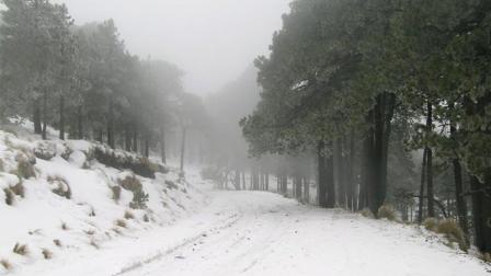 El Nevado de Toluca se viste de blanco, debido a las bajas temperaturas registradas en las últimas horas.