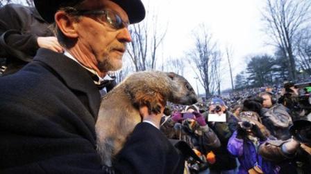 "Punxsutawney Phil lo hizo a propósito, y con el cálculo y la preparación previa, para hacer creer a las personas que la primavera llegaría pronto", escribió Gmoser en la acusación presentada en un documento de aspecto oficia