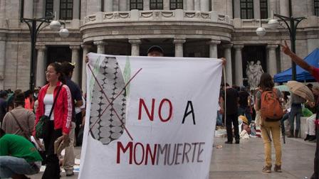 La marcha contra Monsanto en México