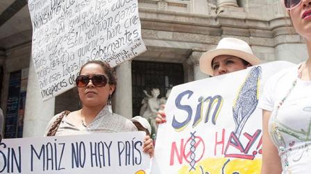La marcha contra Monsanto en México