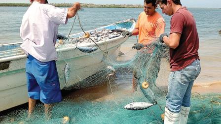 Algunos pescadores han modificado sus métodos de captura para atenuar el ecocidio.
