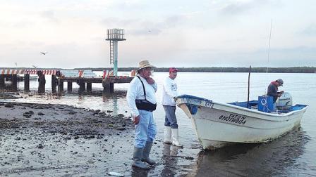La presencia de tortugas caguama en el noroeste del país se ubica principalmente en Sonora y Baja California Sur, a donde cada año llegan de Japón.