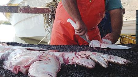 Organismos civiles manifestaron que los pescadores necesitan tener mayor apoyo de los distintos gobiernos. Foto: Ernesto Méndez