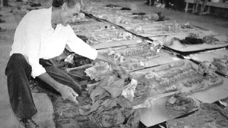 En 1995, expertos exhumaron los restos de 162 víctimas de matanzas ocurridas durante la guerra civil de Guatemala.