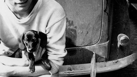 En el verano de 1937, John F. Kennedy abraza al perro Dunker en su tour por Europa.
