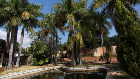 Las imágenes muestran una vivienda en la que es escaso el mantenimiento, con una alberca rodeada de palmeras y amplias habitaciones con muebles antiguos. Foto Cuartoscuro