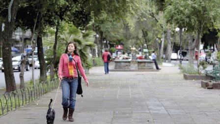 En marzo presentarán el proyecto para la intervención de la avenida Álvaro Obregón; será la más importante de su historia. Foto: Paola Hidalgo