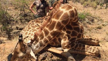 En un portal de internet se abrió una petición para que se le prohíba la entrada a África a Michaela Fialova.
