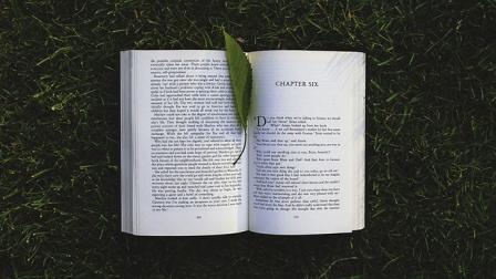 Descubre qué novedad editorial ocupará un lugar en tu librero personal. Foto: Pixabay